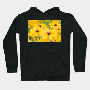 Black-Eyed Susan Yellow Daisy Flowers Hoodie